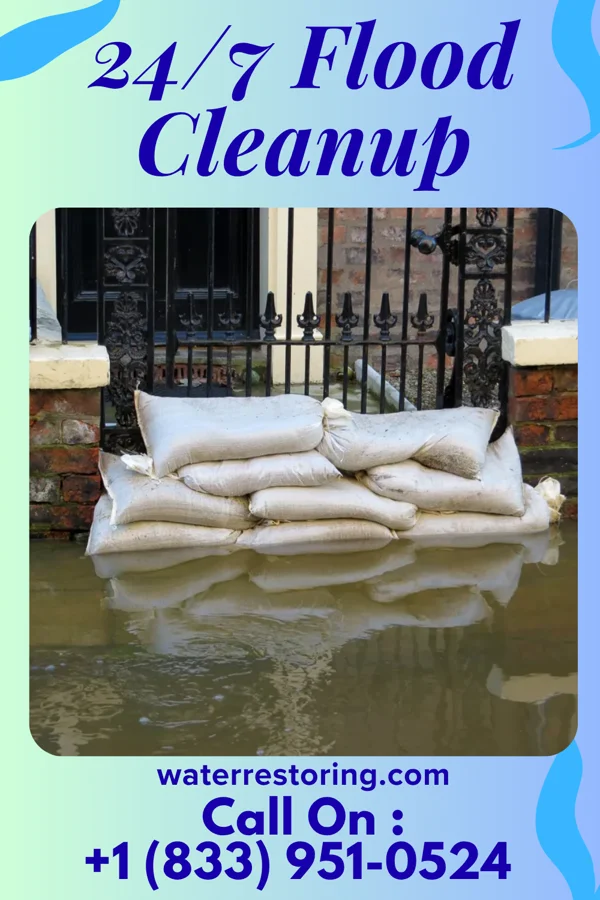 24/7 Flood Cleanup in Mount Vernon, IL