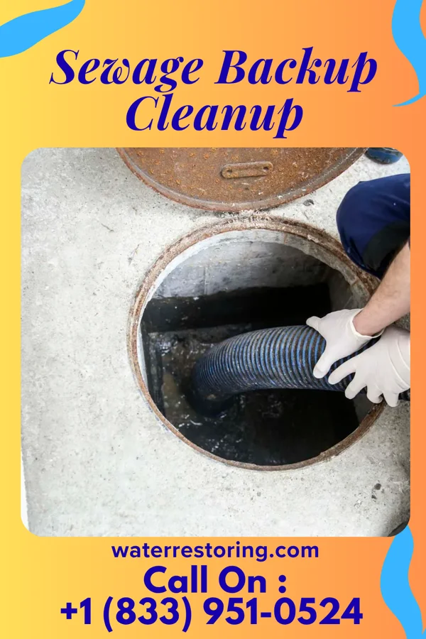 Sewage Backup Cleanup in Mount Vernon, IL