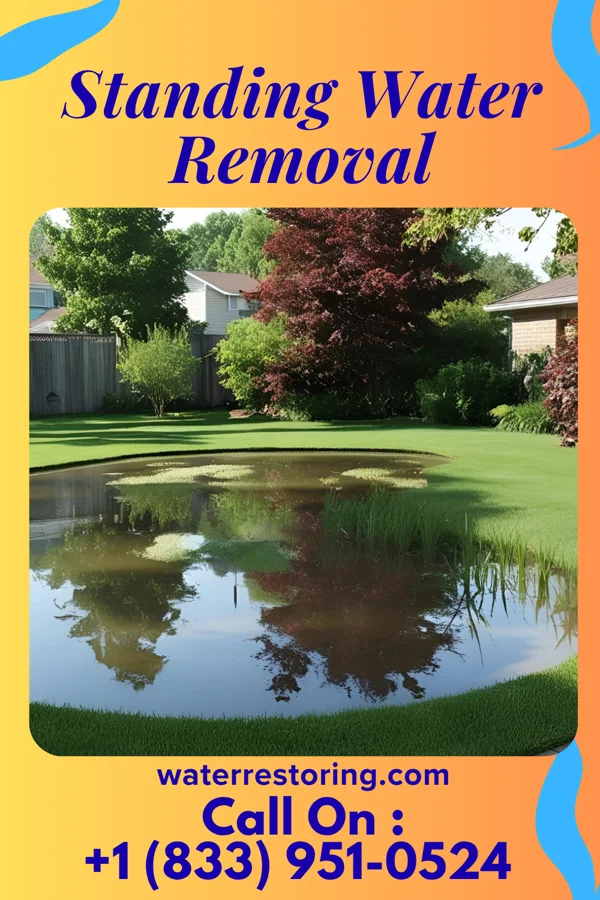 Standing Water Removal in Mount Vernon, IL